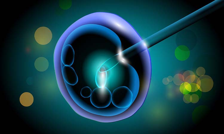 Top 5 Best IVF Doctors in Aurangabad With High Success Rate 2021
