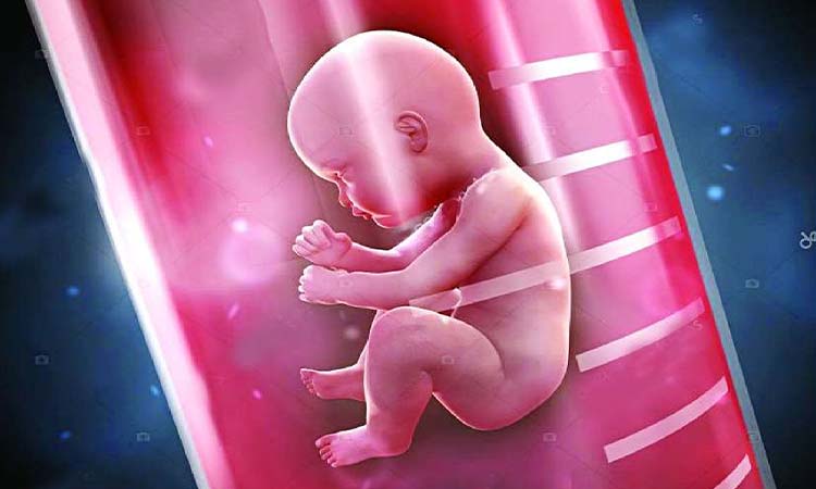 Best IVF Doctor in Srinagar with High Success Rate 2022