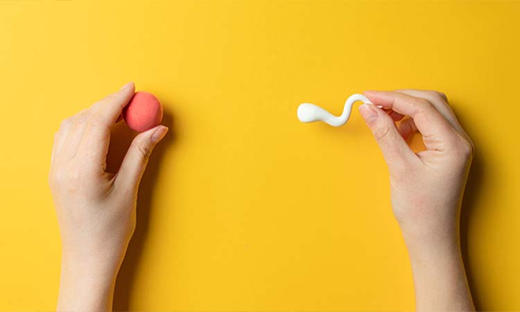 Best IVF Doctor with High Success Rate in Patiala 2021