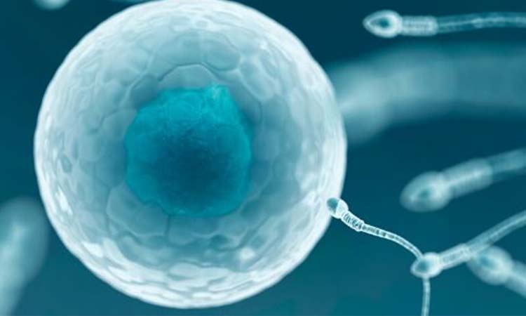 Top 4 IVF Doctors in Jamnagar with High Success Rate 2021