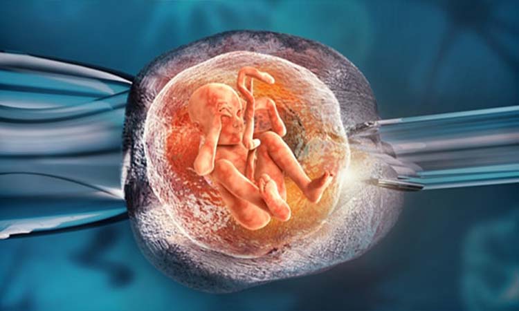 Top 5 Best IVF Doctor in Hyderabad with High Success Rate 2021