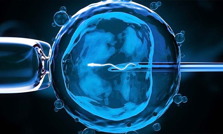 Top 5 Best IVF Doctors in Gwalior With High Success Rate 2021