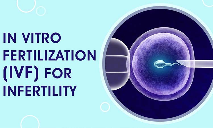 Best IVF Centres in Ambala, Haryana | IVF Cost in Ambala, Haryana