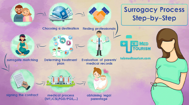 Surrogacy Procedure and Fees