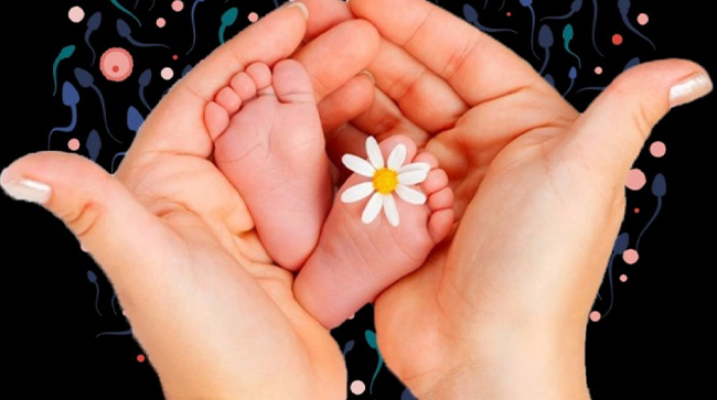 Best Surrogacy Centres in Bharuch, Gujarat, Surrogacy Cost in Bharuch, Gujarat