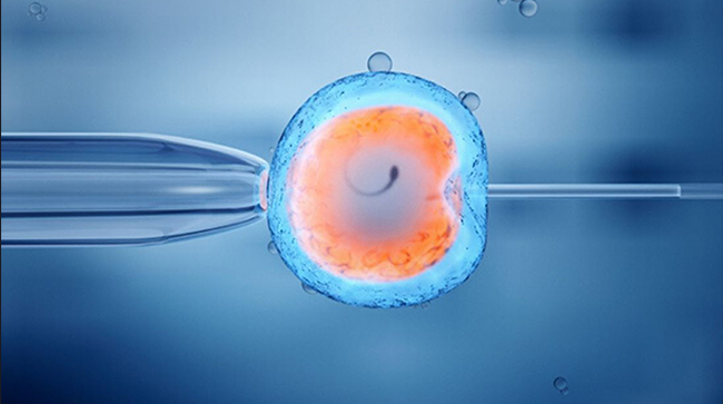 Best Surrogacy Centres in Bhimavaram, Surrogacy Cost in Bhimavaram