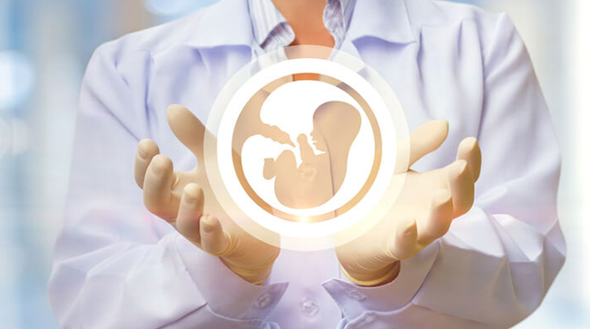 Best Surrogacy Centres in Bhuj, Gujarat, Surrogacy Cost in Bhuj, Gujarat