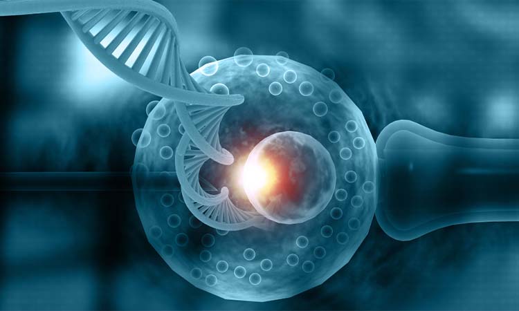 Best IVF Centres in Dehri, Bihar, Cost of IVF in Dehri, Bihar