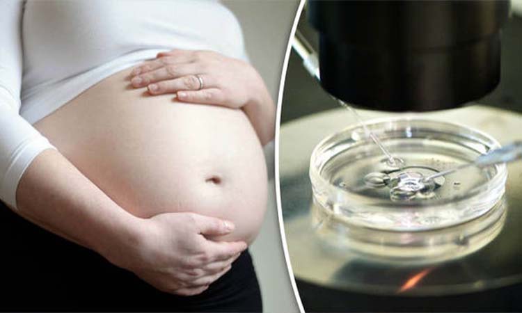IVF Cost in Jamnagar: Test Tube Baby Cost in Jamnagar, Low-cost IVF Centres in Jamnagar