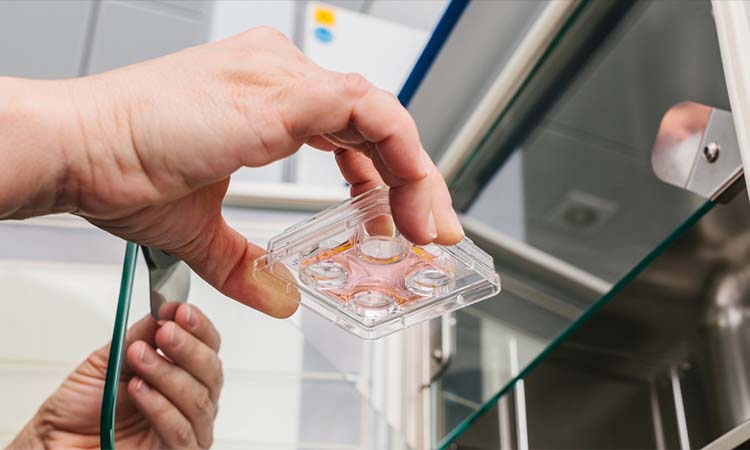 Top 5 Best IVF Doctors in Pune with High Success Rate 2021