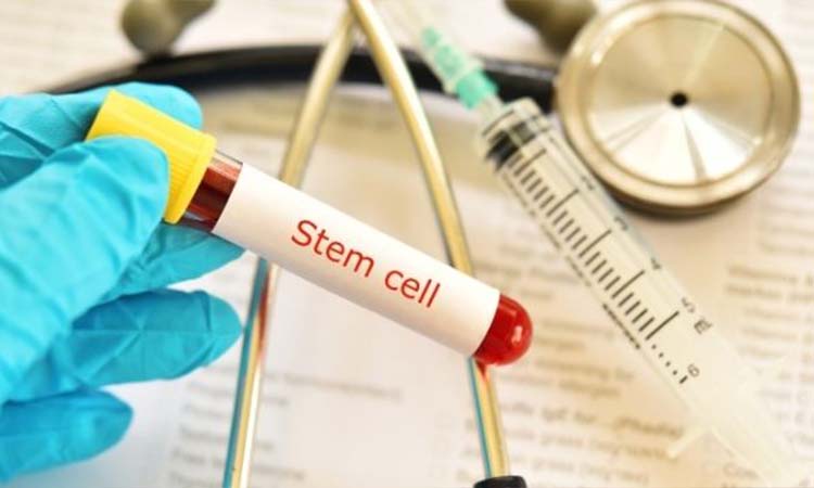 Top 5 Best IVF Doctors in Tiruchirapalli With High Success Rate 2021