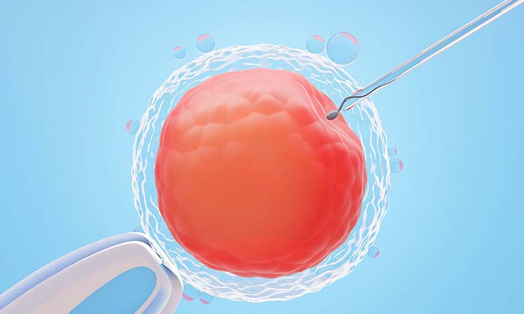 IVF Cost in Jodhpur: Test Tube Baby Cost in Jodhpur, Low-cost IVF Centres in Jodhpur