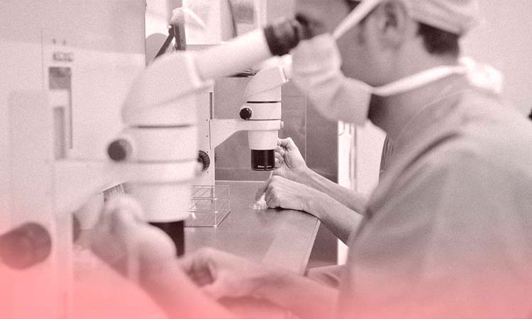IVF Cost in Adoni: Test Tube Baby Cost in Adoni, Low-Cost IVF Centres in Adoni