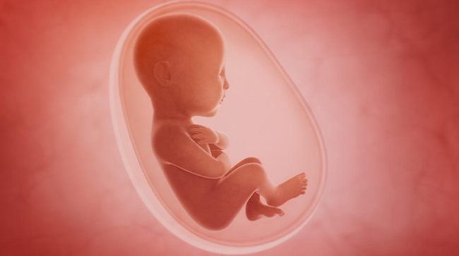 Best Surrogacy Centres in Nagda, Madhya Pradesh, Surrogacy Cost in Nagda, Madhya Pradesh