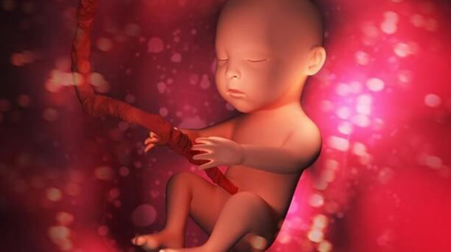 Best Surrogacy Centres in Narasaraopet, Surrogacy Cost in Narasaraopet