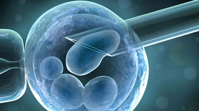 Best Surrogacy Centres in Narmadapuram, Madhya Pradesh, Surrogacy Cost in Narmadapuram, Madhya Pradesh