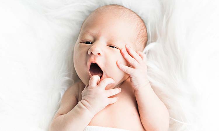 Best IVF Centres in Katni, Madhya Pradesh, Cost of IVF in Katni, Madhya Pradesh