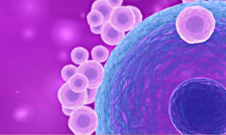 IVF Cost in Bhadravati: Test Tube Baby Cost in Bhadravati, Low-cost IVF Centres in Bhadravati