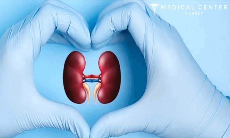 Kidney Transplant – Procedure, Risk and Treatment
