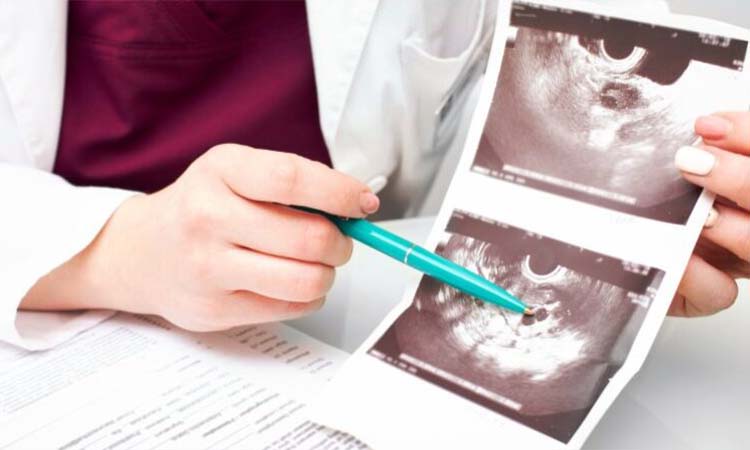 Best IVF Centres in Deesa, Gujarat, Cost of IVF in Deesa, Gujarat