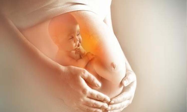 IVF Cost in Kolhapur: Test Tube Baby Cost in Kolhapur, Low-cost IVF Centres in Kolhapur