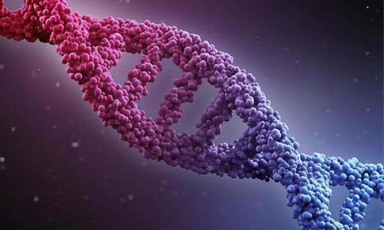 Best IVF Centres in Dhanbad With High Success Rates 2021
