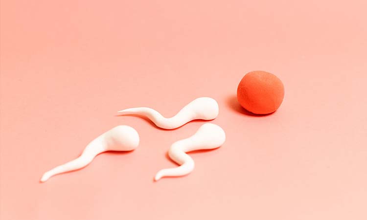 IVF Cost in Kolkata: Test Tube Baby Cost in Kolkata, Low-cost IVF Centres in Kolkata