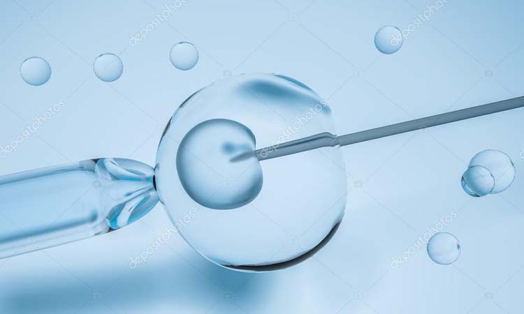 Best IVF Centres in Veraval, Madhya Pradesh, Cost of IVF in Veraval, Madhya Pradesh