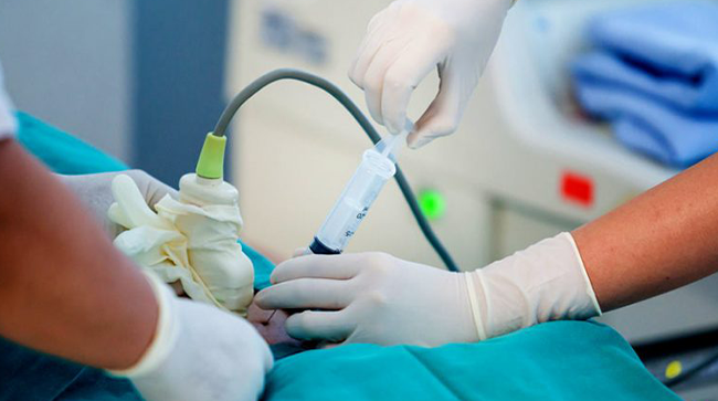 Top 3 Best Surrogacy Centres in Gwalior With High Success Rates 2021