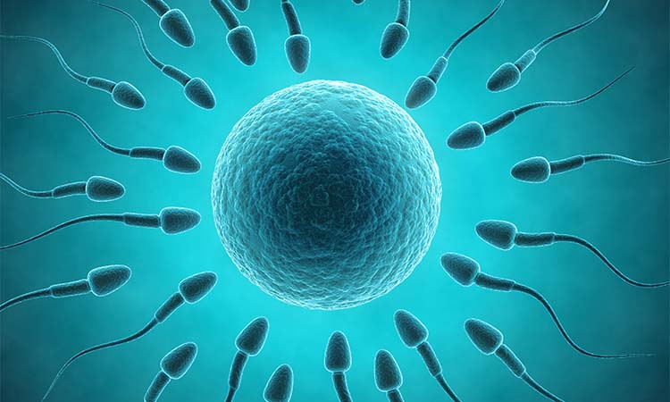 Best Infertility Doctor in Mysore with High Success Rate 2021