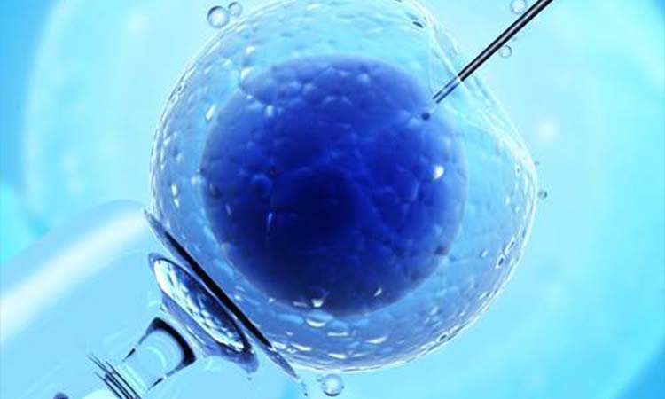 IVF Cost in Madurai: Test Tube Baby Cost in Madurai, Low-cost IVF Centres in Madurai