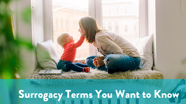 Surrogacy Cost in Agra: Surrogate Mother Cost in Agra, Low-cost Surrogacy Centres in Agra