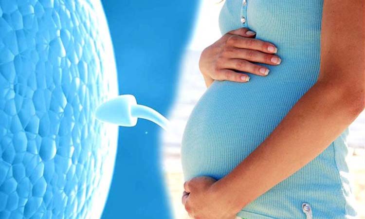 IVF Cost in Hyderabad: Test Tube Baby Cost in Hyderabad, Low-cost IVF Centres in Hyderabad