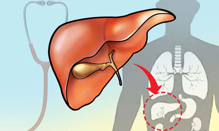 Liver Transplant – Procedure, Risk and Treatment