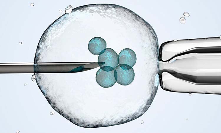 IVF Cost in Ahmedabad: Test Tube Baby Cost in Ahmedabad, Low-cost IVF Centres in Ahmedabad