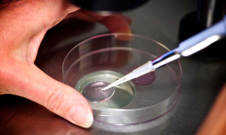 IVF Cost in Ajmer: Test Tube Baby Cost in Ajmer, Low-cost IVF Centres in Ajmer