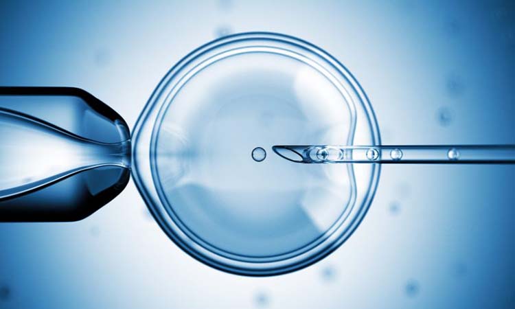 IVF Cost in Modinagar: Test Tube Baby Cost in Modinagar, Low-cost IVF Centres in Modinagar