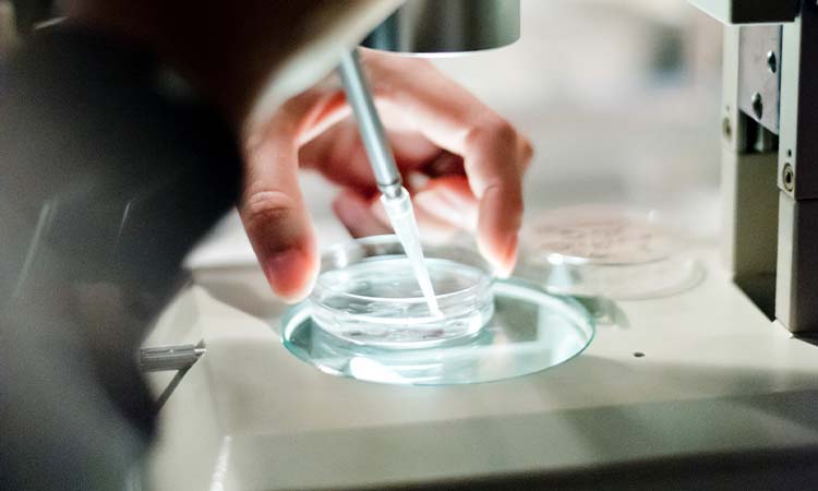IVF Cost in Aligarh: Test Tube Baby Cost in Aligarh, Low-cost IVF Centres in Aligarh
