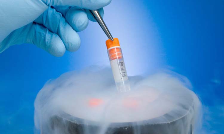 IVF Cost in Allahabad: Test Tube Baby Cost in Allahabad, Low-cost IVF Centres in Allahabad