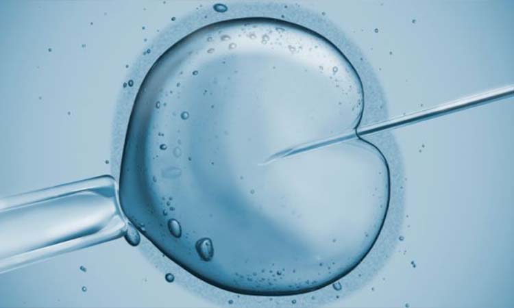 IVF Cost in Mohali: Test Tube Baby Cost in Mohali, Low-cost IVF Centres in Mohali
