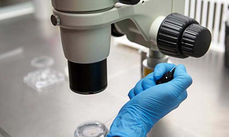 IVF Cost in Mumbai: Test Tube Baby Cost in Mumbai, Low-cost IVF Centres in Mumbai