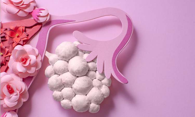 Top 3 Best IVF Centres in Ghaziabad with High Success Rate 2021