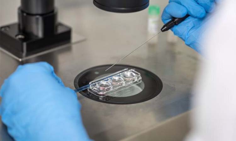 Top 5 Best IVF Doctors in Jaipur With High Success Rate 2021
