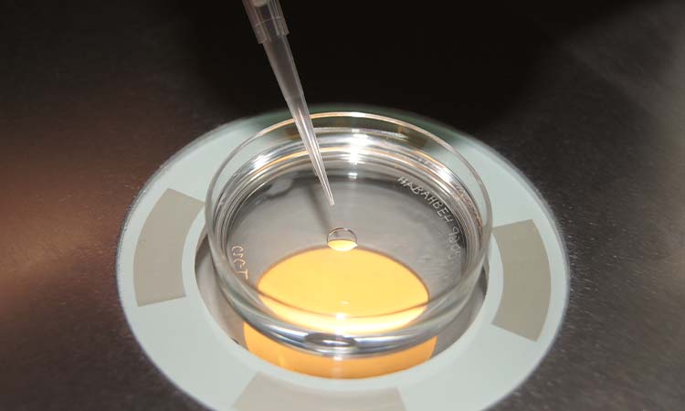 IVF Cost in Aurangabad: Test Tube Baby Cost in Aurangabad, Low-cost IVF Centres in Aurangabad