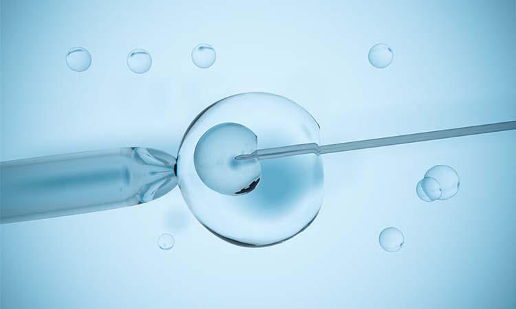 IVF and Surrogacy Procedure – Success rates, age limit, legal procedure