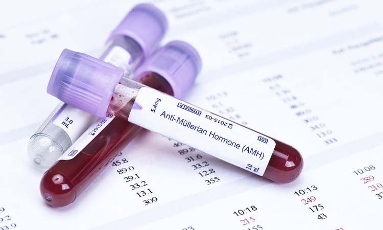 Best IVF Centres in Motihari, Bihar, Cost of IVF in Motihari, Bihar
