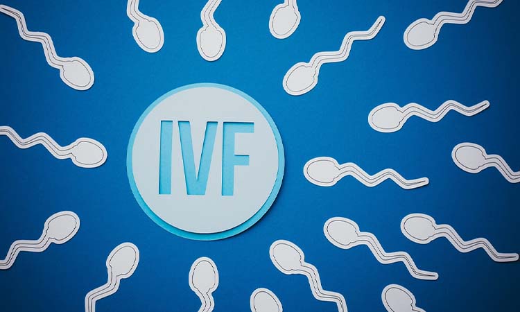 IVF Cost in Bhavnagar: Test Tube Baby Cost in Bhavnagar, Low-cost IVF Centres in Bhavnagar