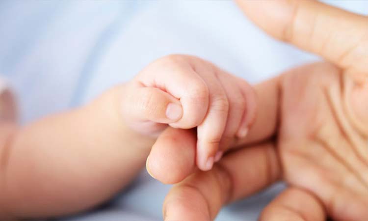 IVF Cost in Nellore: Test Tube Baby Cost in Nellore, Low-cost IVF Centres in Nellore