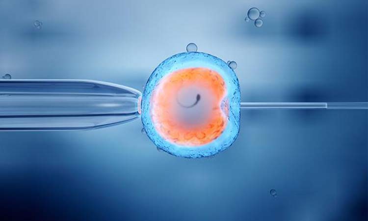 IVF Cost in Belgaum: Best IVF Treatment in Belgaum with High Success Rate