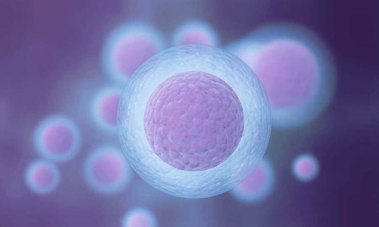 Best IVF Centres in Abohar, Punjab | IVF Cost in Abohar, Punjab